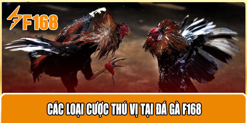 Các Loại Cược Thú Vị Tại Đá Gà F168