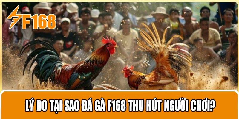 Lý Do Tại Sao Đá Gà F168 Thu Hút Người Chơi?