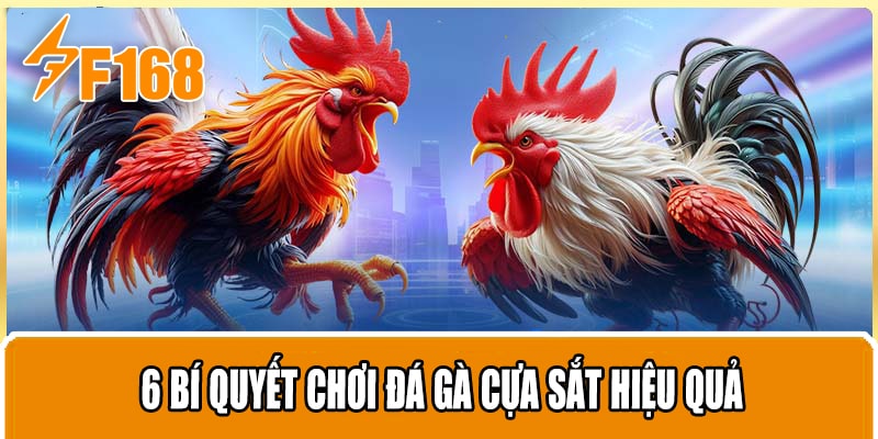 6 Bí quyết chơi đá gà cựa sắt hiệu quả