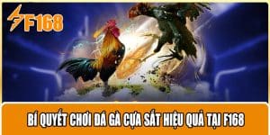 Bí Quyết Chơi Đá Gà Cựa Sắt Hiệu Quả Tại F168