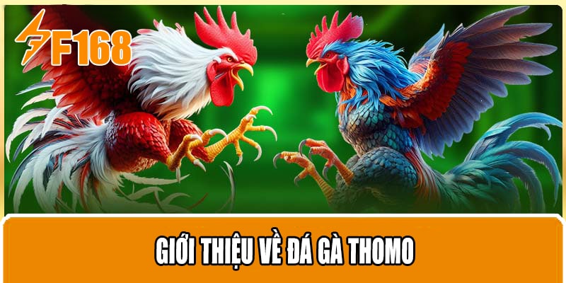 Giới thiệu về đá gà thomo
