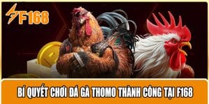 Bí Quyết Chơi Đá Gà Thomo Thành Công Tại F168