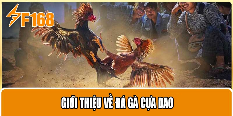 Giới thiệu về đá gà cựa dao