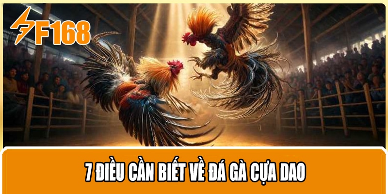 7 Điều Cần Biết Về Đá Gà Cựa Dao