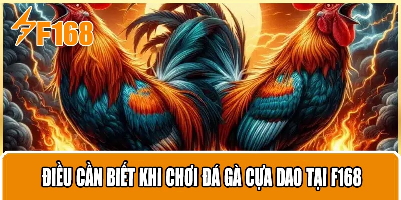 Điều Cần Biết Khi Chơi Đá Gà Cựa Dao Tại F168