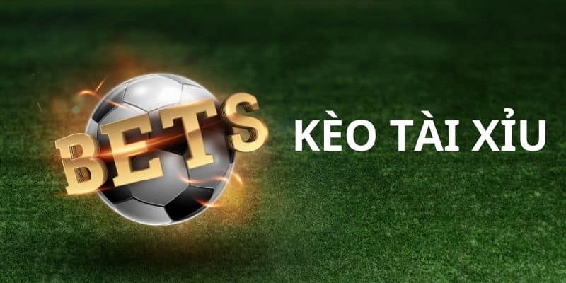 Tài Xỉu là loại kèo được nhiều người chơi lựa chọn
