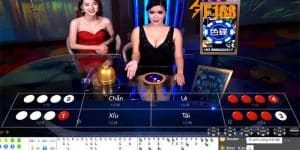 Xóc Đĩa 88 Là Gì? Bí Kíp Để Chiến Thắng Từ Cao Thủ