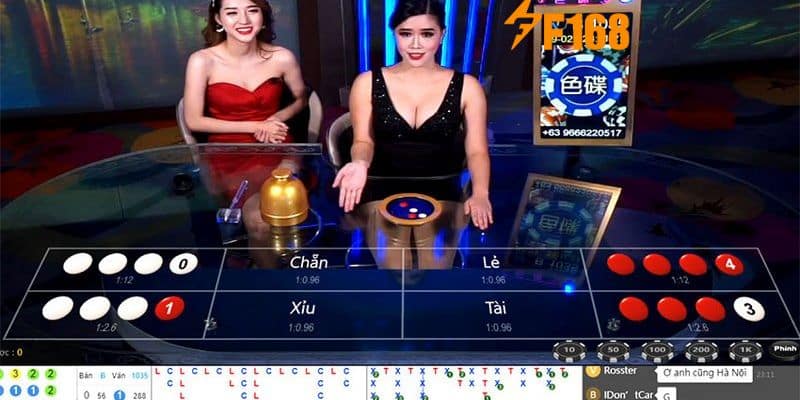 Xóc Đĩa 88 Là Gì? Bí Kíp Để Chiến Thắng Từ Cao Thủ